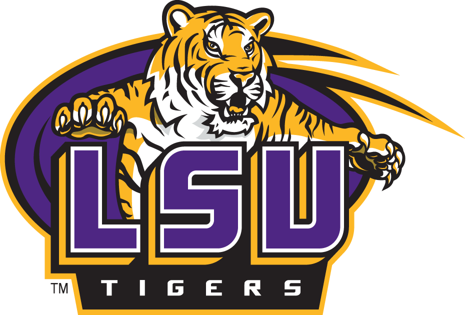 LSU Tigers 2007-Pres Secondary Logo diy DTF decal sticker